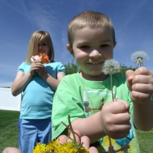 Yvonne's youngest granddaughter and grandson, helping to ensure more pretty yellow flowers grow in our grass.